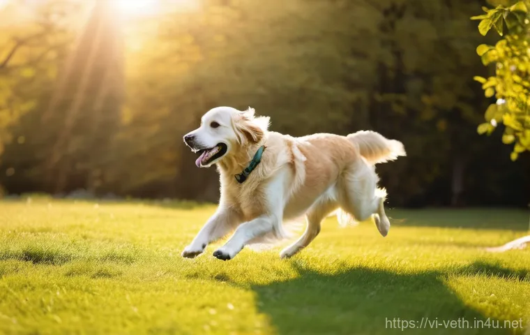 반려동물 영양제 성분 비교 - **Joint Health: A Joyful Senior Dog in Motion**
"A heartwarming, highly detailed image of a seni...
